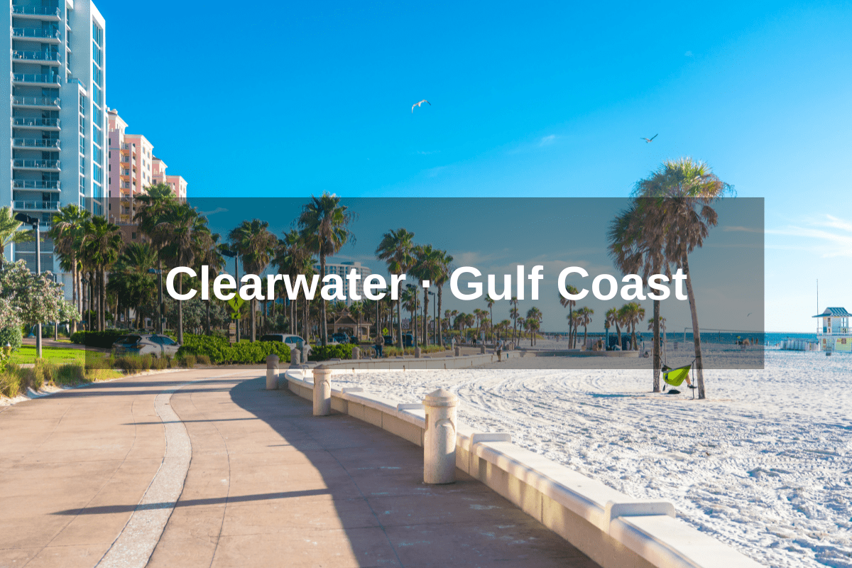 Realtor Clearwater FL